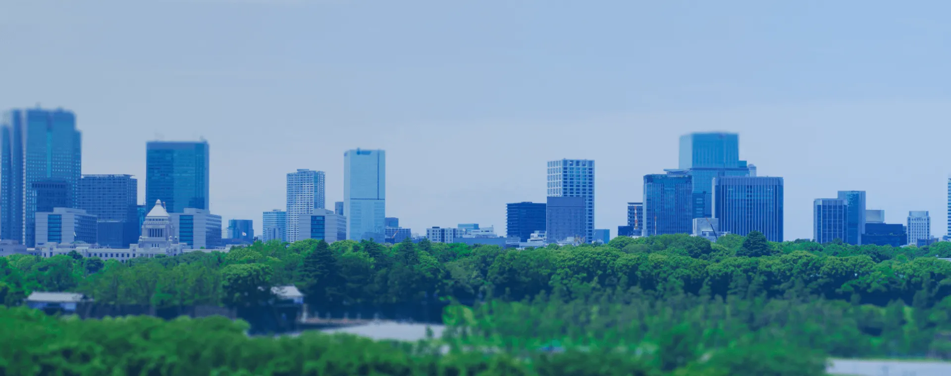 とても助かりました！